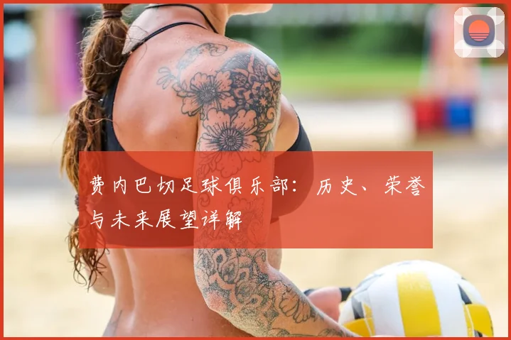 费内巴切足球俱乐部：历史、荣誉与未来展望详解